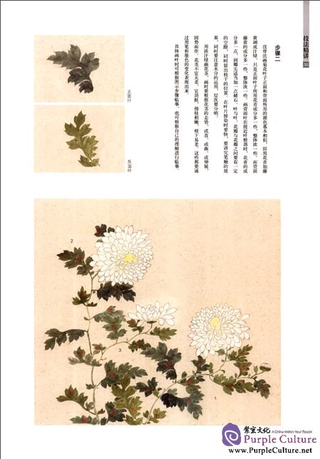 Sample pages of Chinese Painting in the Imperial Palace: Flowers and Birds Volume: Chrysanthemum (ISBN:9787513403238)