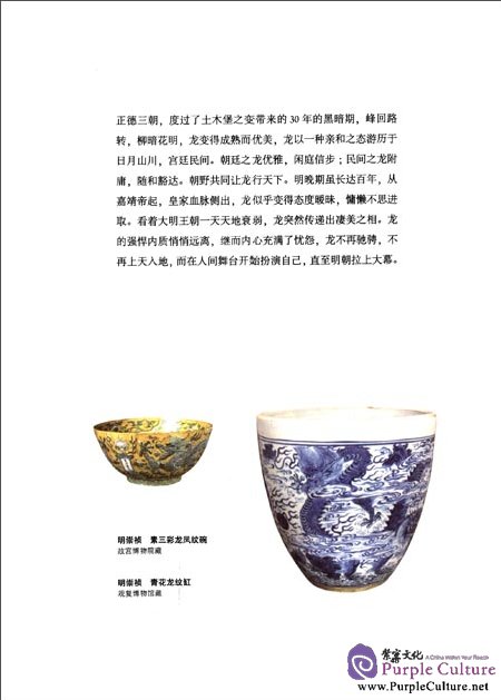 Sample pages of Patterns on Porcelain (2 vols) (ISBN:9787513404433)