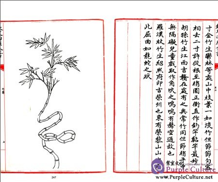 Sample pages of 四库全书·艺术类:竹谱 (ISBN:9787514908923)