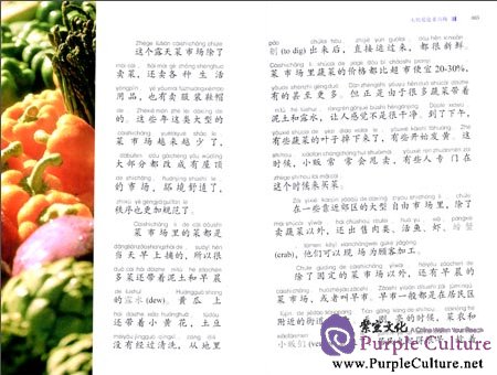 Sample pages of Glimpses of Contemporary China: Shopping Adventures (ISBN:9787513804608)