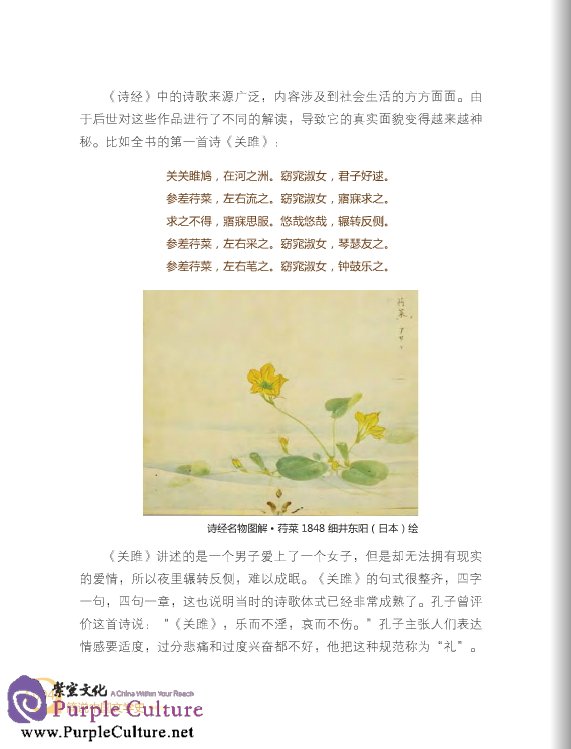 Sample pages of A Concise History of Chinese Literature (ISBN:9787561937440)