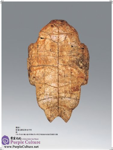 Sample pages of 中国汉字文物大系(15 Vols) (ISBN:9787534777288)