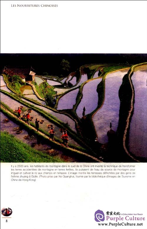 Sample pages of Les Nourritures Chinoises (ISBN:9787508520957)