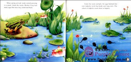 Sample pages of Illustrated Classic Chinese Tales: Fairy Tales: Little Tadpoles Search For Their Mother (ISBN:9787508526591)