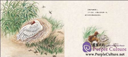 Sample pages of Beautiful China Picturebook: Dancing Crane (ISBN:9787107263750)