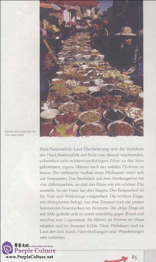 Sample pages of Chinas Nationale Minderheiten (ISBN:9787508515748)