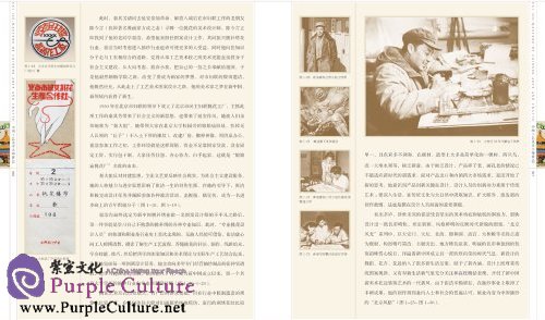 Sample pages of Masters of Chinese Arts and Crafts: CUI JIE - Cross-Stitch and Silk Barbola (ISBN:7534465826, 9787534465826)