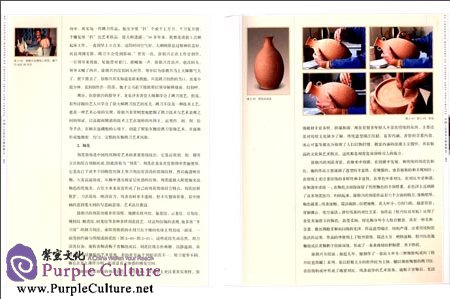 Sample pages of Masters of Chinese Arts and Crafts: Xu Chaoxing, Longquan Celadon (ISBN:9787534450884)