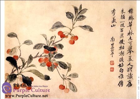 Sample pages of Selected Ancient Chinese Paintings: Flowers Painting Album (Yun Shouping [Qing Dynasty]) (ISBN:9787514907001)