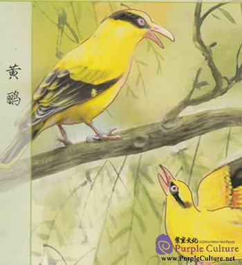 Sample pages of 咬文嚼字  Yaowen Jiaozi (1 year subscription, 12 issues) (ISBN:CN31-1801/H)