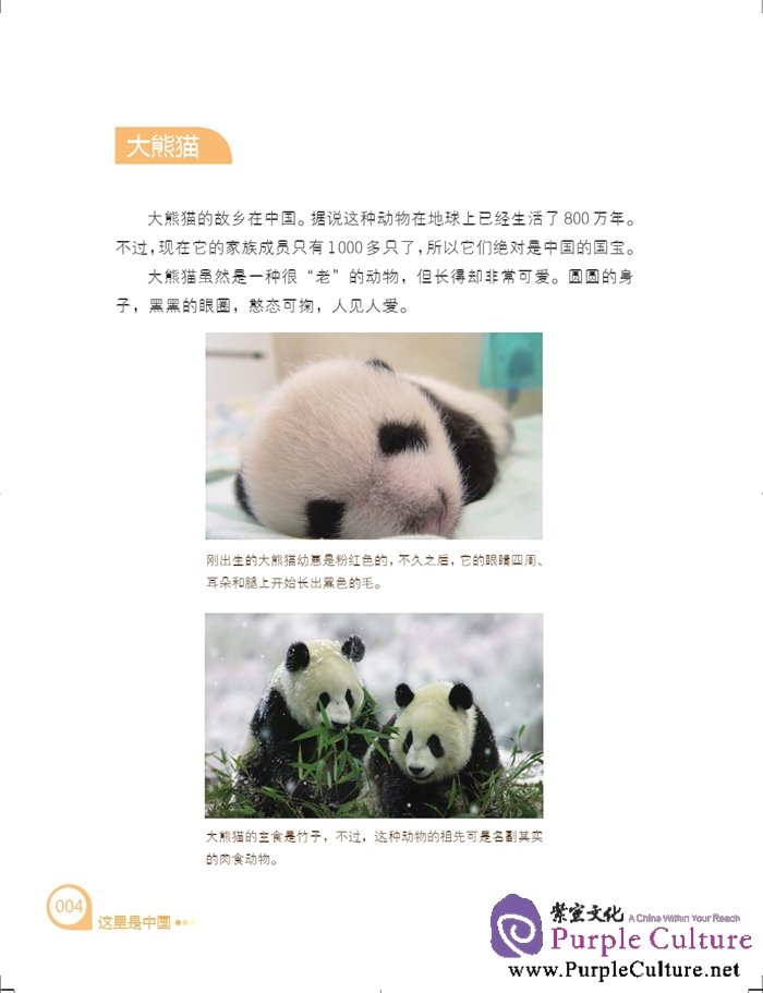 Sample pages of MEET CHINA: THIS IS CHINA (ISBN:9787561940839)