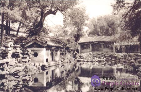 Sample pages of Images of the Late Dynasty through Western Camera: Imperial Gardens (ISBN:880047162, 880047162)