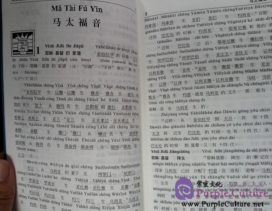Sample pages of New Testament - Union Version (Chinese Phonetic Alphabet Edition) (ISBN:9789625134116)