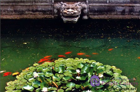 Sample pages of Treasures of the Palace Museum: Flowers in the Palace Museum (ISBN:880047180, 880047180)