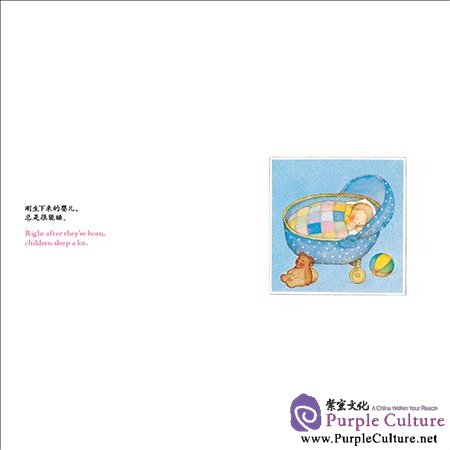 Sample pages of My Family (Picture book for Children Age 0 - 6, Chinese English Bilingual) 4 vols (ISBN:9789900210788)