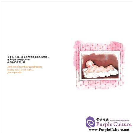 Sample pages of My Family (Picture book for Children Age 0 - 6, Chinese English Bilingual) 4 vols (ISBN:9789900210788)