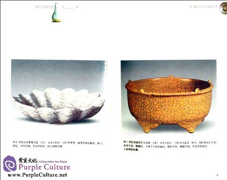 Sample pages of Ge Kiln (ISBN:9787539311944,7539311940)