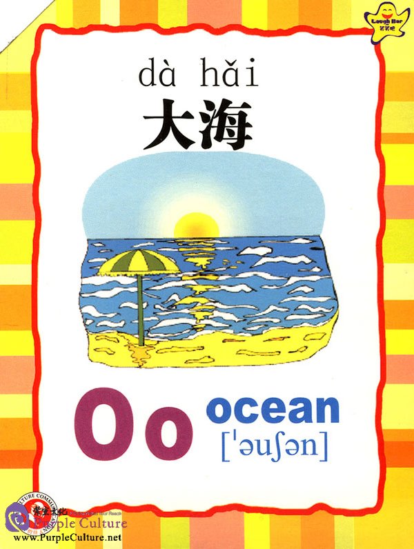 轻松学汉语1(2DVD+书)