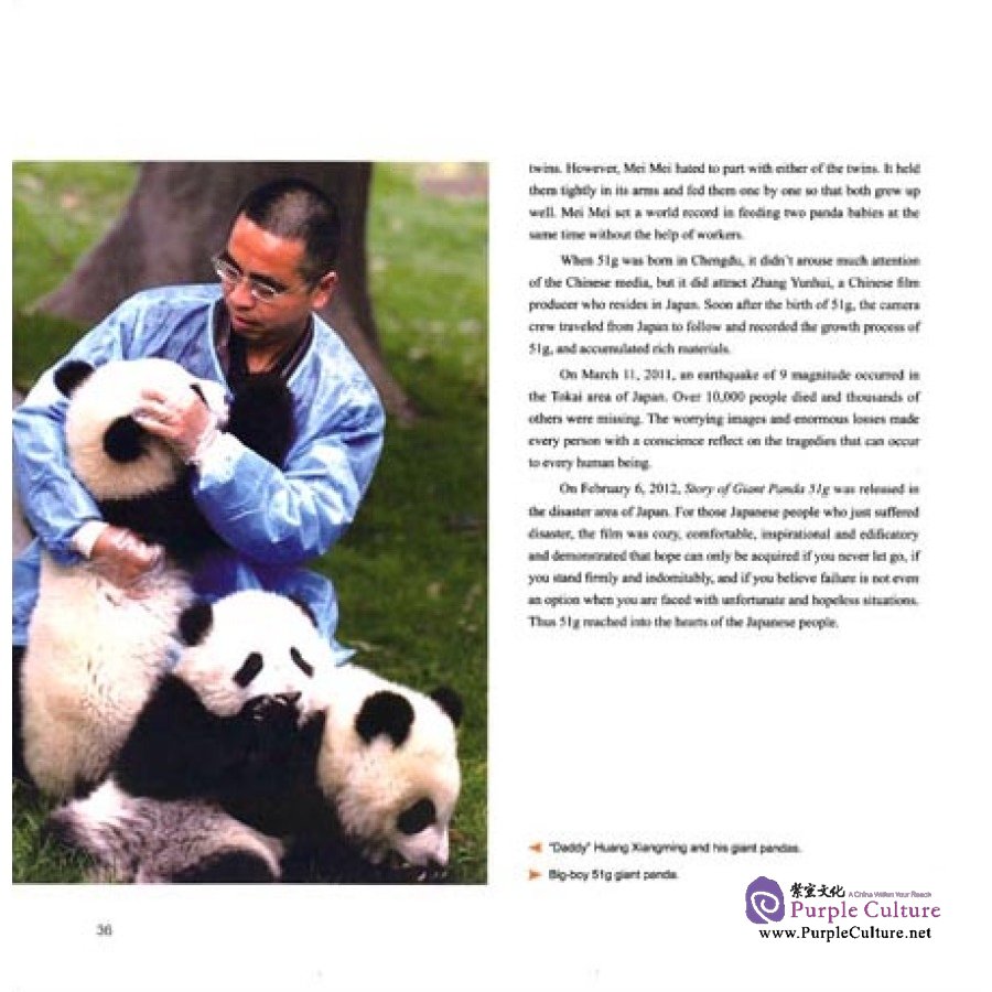 Sample pages of Story of Giant Panda (ISBN:9787508530079)