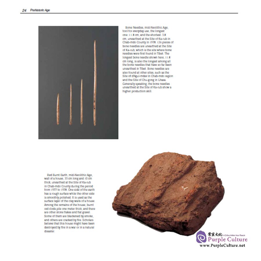 Sample pages of Historical Relics of Tibet, China: Precious Deposits (2 vols) (ISBN:9787505437593)