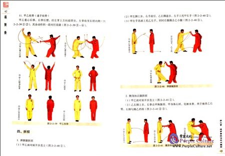 Sample pages of Textbook Series of Chinese Wushu Duanwei System: Tongbiquan (with DVD) (ISBN:9787040258332)