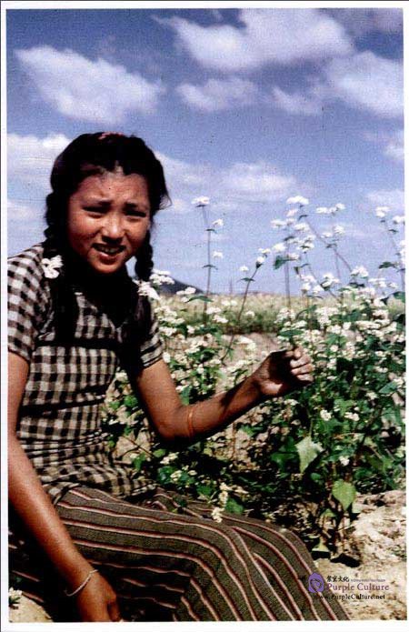 Sample pages of China in the Eyes of Flying Tigers - Hangzhou (Photo Album) (ISBN:6953573400248)