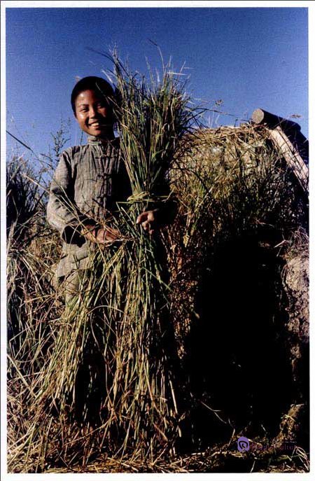 Sample pages of China in the Eyes of Flying Tigers - Hangzhou (Photo Album) (ISBN:6953573400248)