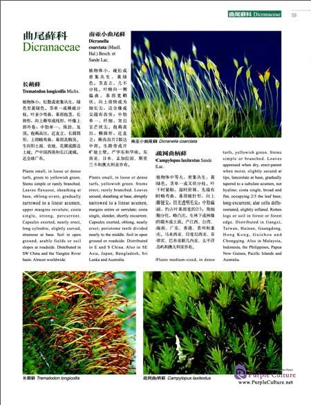 Sample pages of Higher Plants of China in Colour Vol I Bryophytes (ISBN:9787030470621)