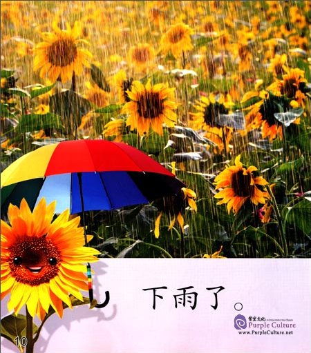 Sample pages of Cool Panda Chinese Big Book for Kids: Level 1 Weather & Seasons - The Sunflower (ISBN:9787040444445)