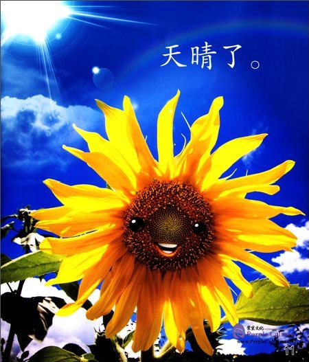 Sample pages of Cool Panda Chinese Big Book for Kids: Level 1 Weather & Seasons - The Sunflower (ISBN:9787040444445)