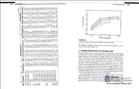 Sample pages of Giant Coal-Derived Gas Fields and their Gas Sources in China (ISBN:9787030479419)