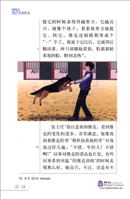 Sample pages of Chinese Breeze Graded Reader Series: Level 4 1100 Words Level - Vick the Good Dog (ISBN:9787301275627)