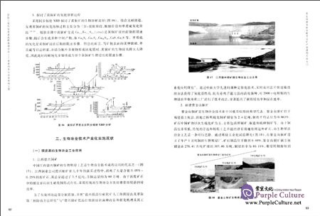 Sample pages of The Future of Chemical, Metallurgy and Material Engineering (ISBN:9787040440232)