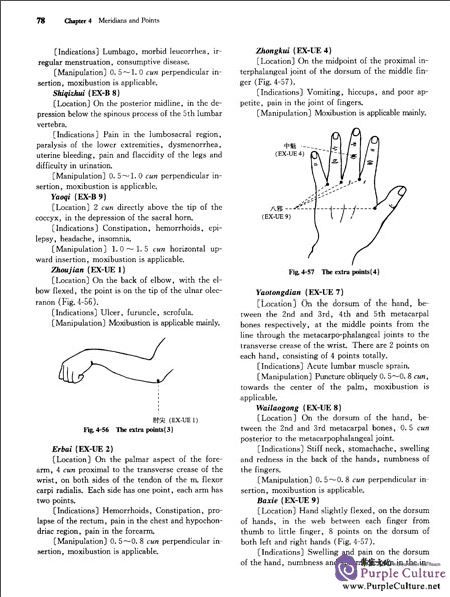 Sample pages of Acupuncture and Moxibustion (ISBN:9787040456141)