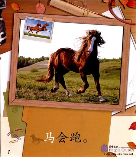Sample pages of Cool Panda Chinese Big Book for Kids: Level 2 - Action: Birds Can Fly (ISBN:9787040444391,7040444399)