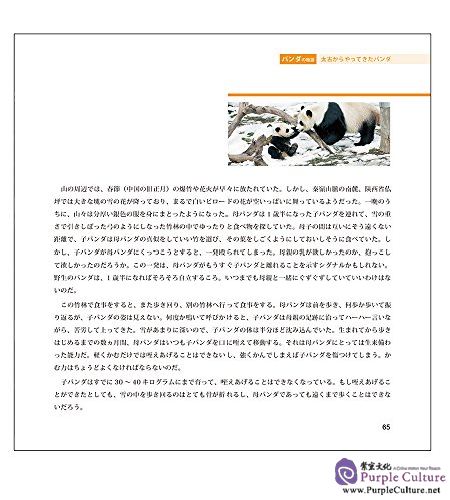 Sample pages of パンダの物语(Japanese Edition) (ISBN:9787508533339)
