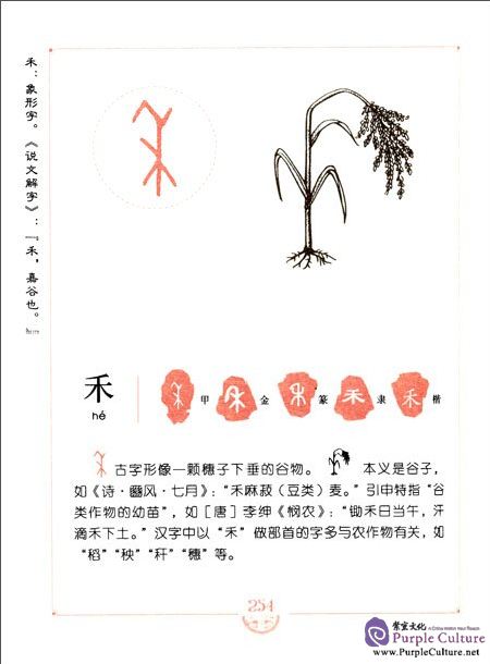Sample pages of Chinese Character Illustrated (ISBN:9787513813150)