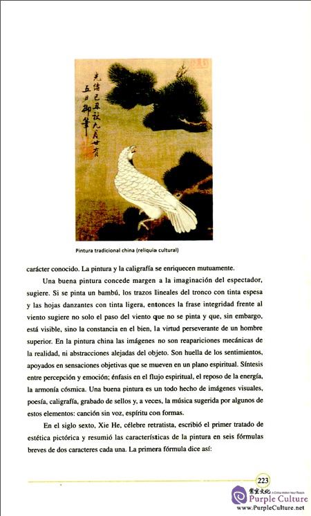 Sample pages of Desde China Un Pais Fascinante Y Misterioso (ISBN:9787508534602)