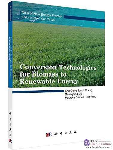 Conversion Technologies for Biomass to Renewable Energy (No.6 of New ...