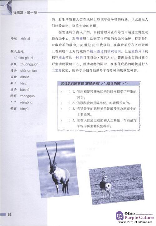 Sample pages of Road to Success: Lower Intermediate Vol.1 (With CD) (ISBN:9787561921746)