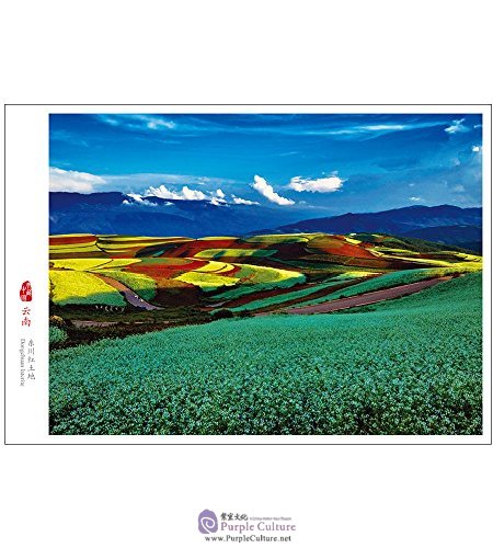 Sample pages of Yunnan, Charming Land in South of the Colorful Clouds (Postcards) (ISBN:7508537955,9787508537955)