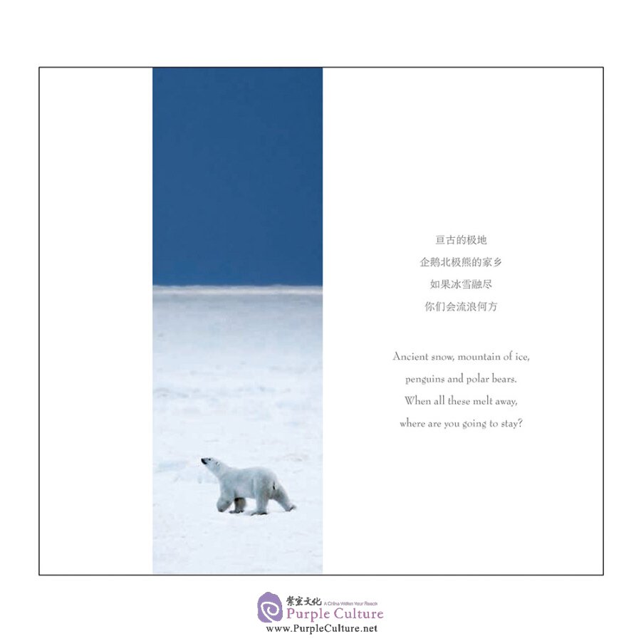 Sample pages of A Sence of Nature (ISBN:9787508538808)