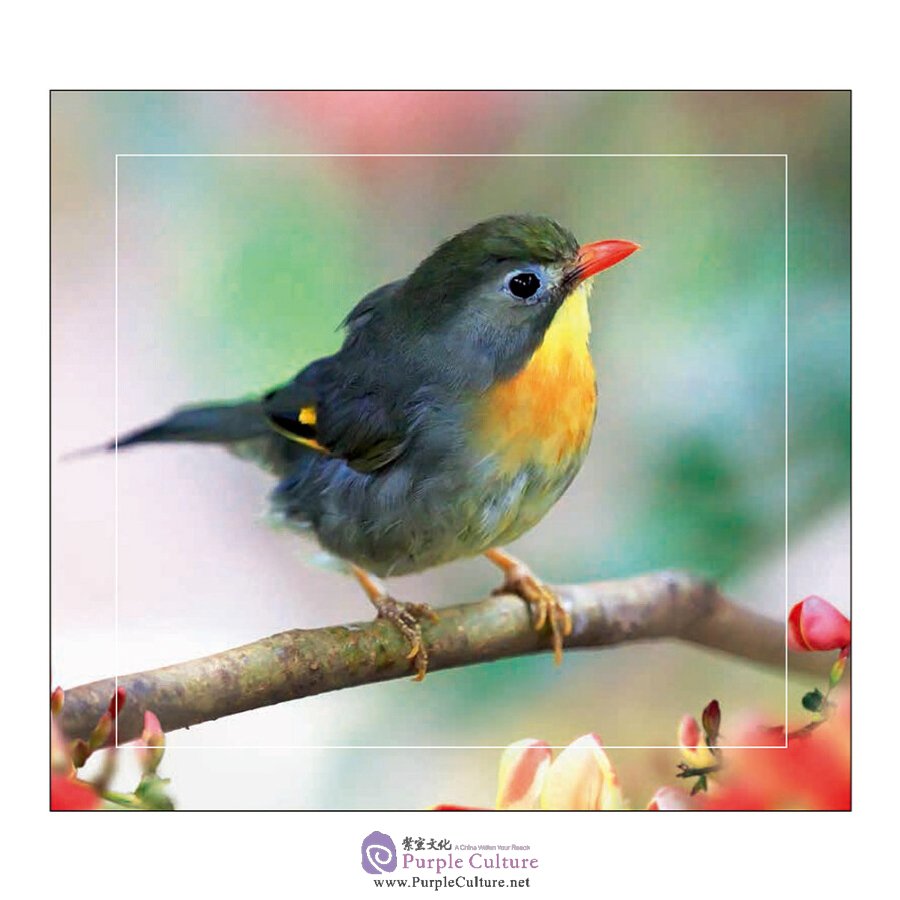 Sample pages of A Sence of Nature (ISBN:9787508538808)