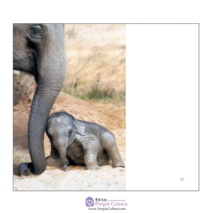 Sample pages of A Sence of Nature (ISBN:9787508538808)