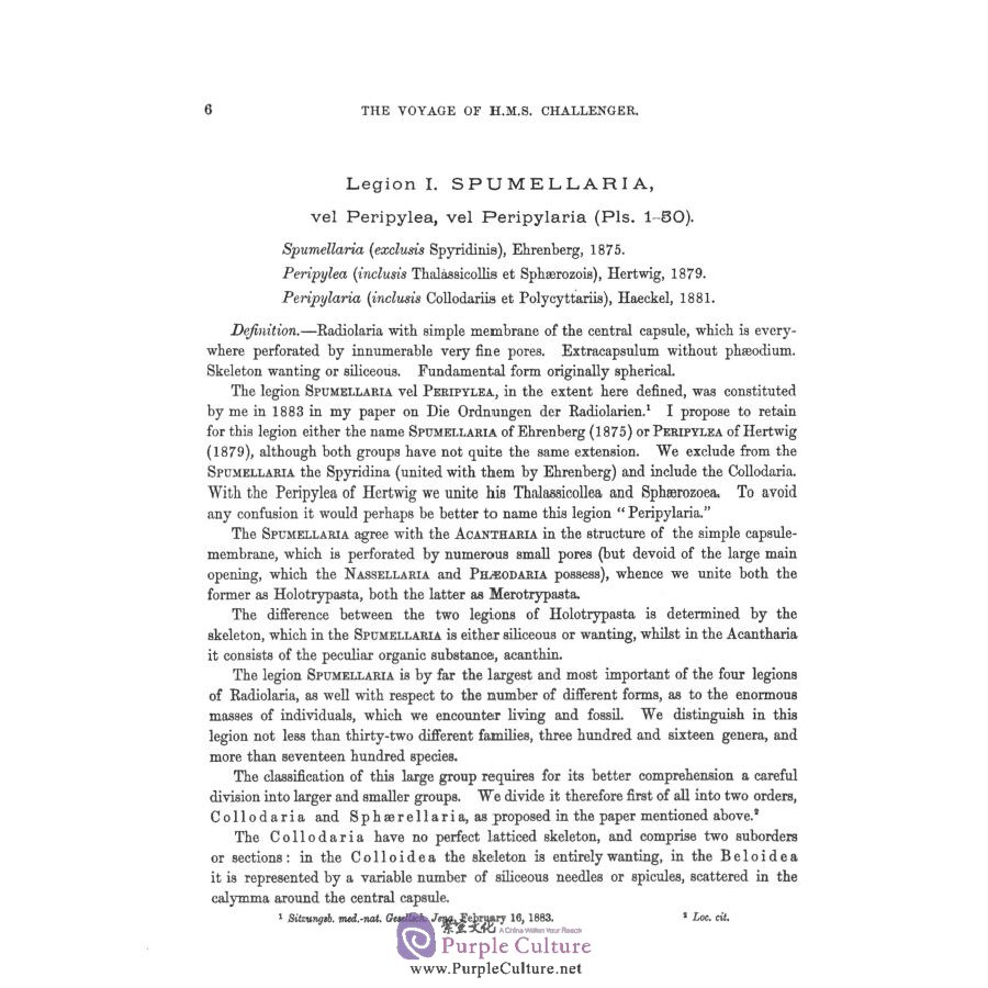 Sample pages of The report on the scientific results of the voyage of H.M.S challenger Vol.19 (ISBN:9787567574267)