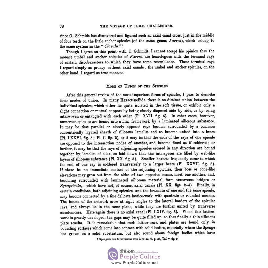 Sample pages of The report on the scientific results of the voyage of H.M.S challenger v01．24 (ISBN:9787567573369)