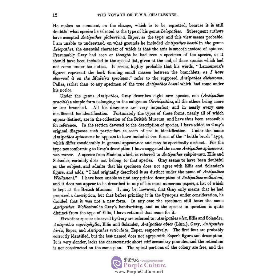 Sample pages of The report on the scientific results of the voyage of H.M.S challenger Vol.40 (ISBN:9787567573697)