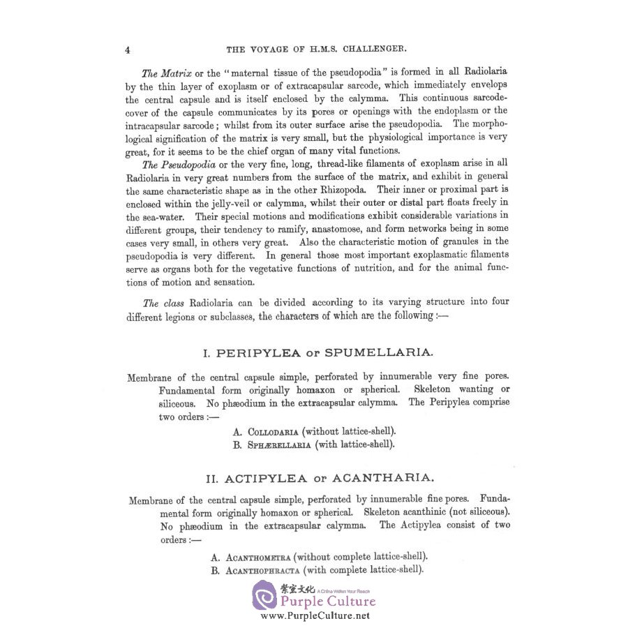 Sample pages of The report on the scientific results of the voyage of H.M.S challenger Vol.19 (ISBN:9787567574267)