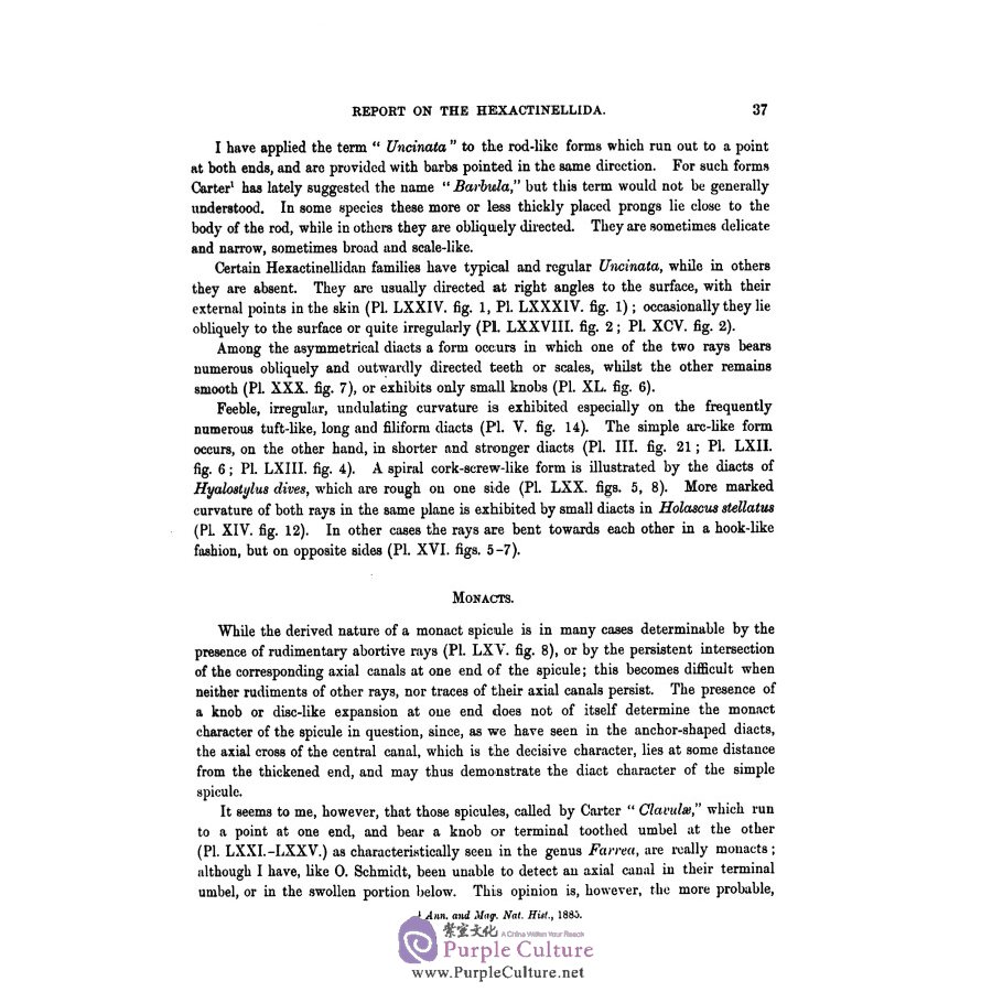 Sample pages of The report on the scientific results of the voyage of H.M.S challenger v01．24 (ISBN:9787567573369)