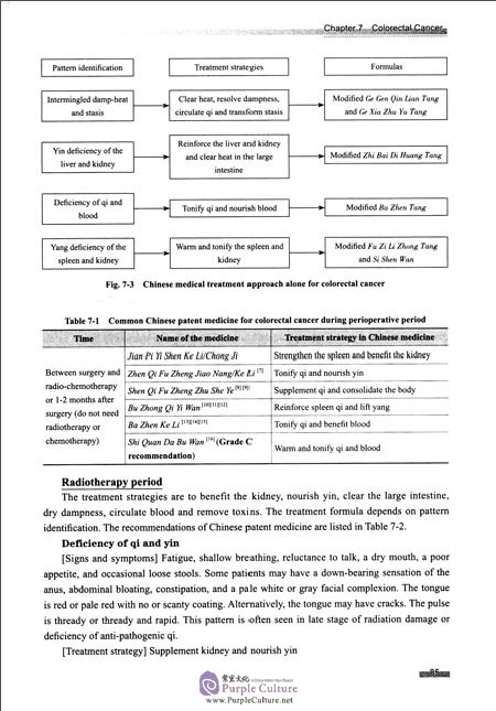 Sample pages of CLINICAL PRACTICE GUIDELINES OF CHINESE MEDICINE In ONCOLOGY (ISBN:9787117236041)